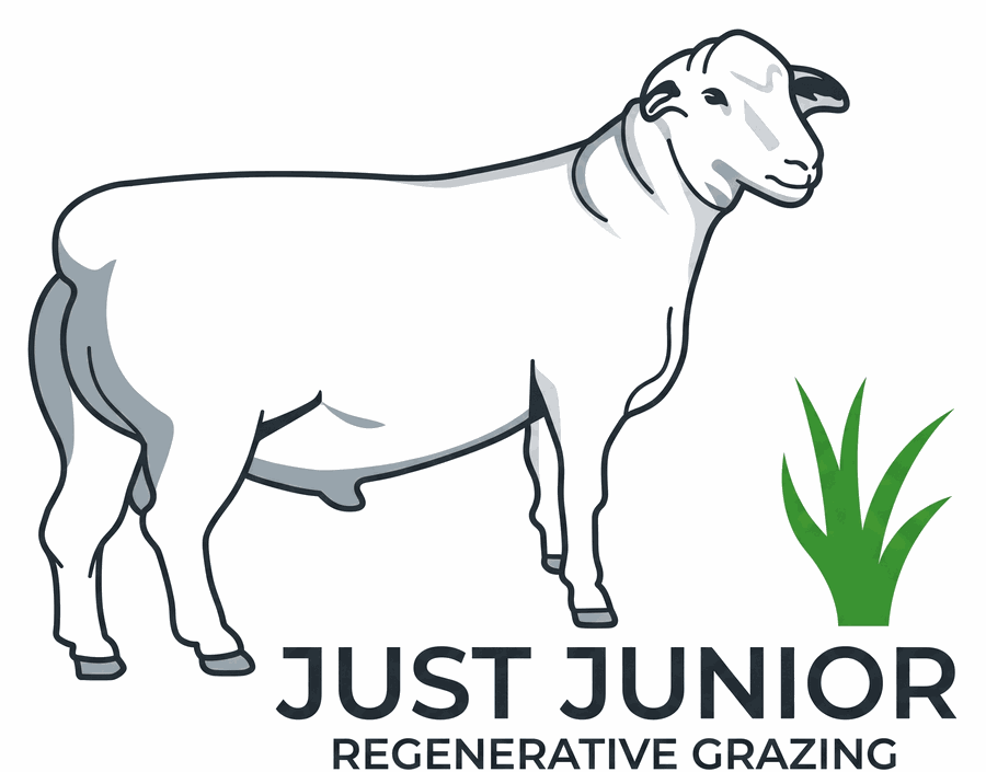 Just Junior — Regenerative Grazing